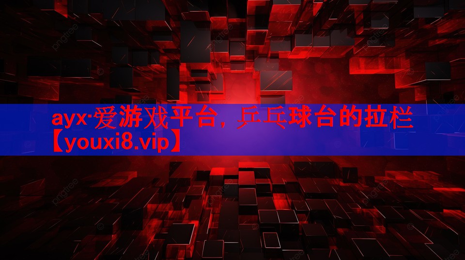 乒乓球台的拉栏 乒乓球台的拉栏