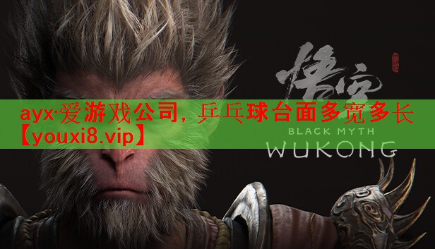 ayx·爱游戏公司，乒乓球台面多宽多长